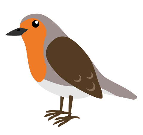 bird-robin-ornithology-drawing-7181568