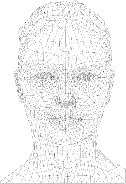 woman-head-line-art-geometric-3d-7469272