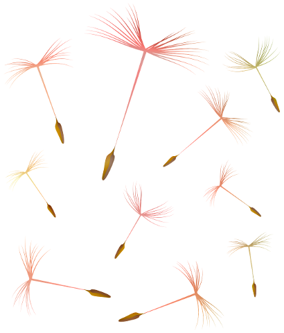 dandelions-flying-weeds-seeds-wind-4321867