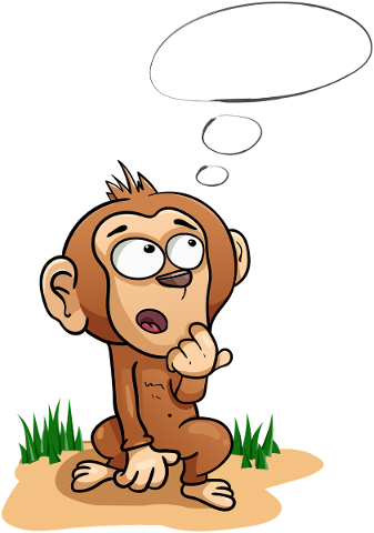 monkey-toque-chimpanzee-thought-4699290