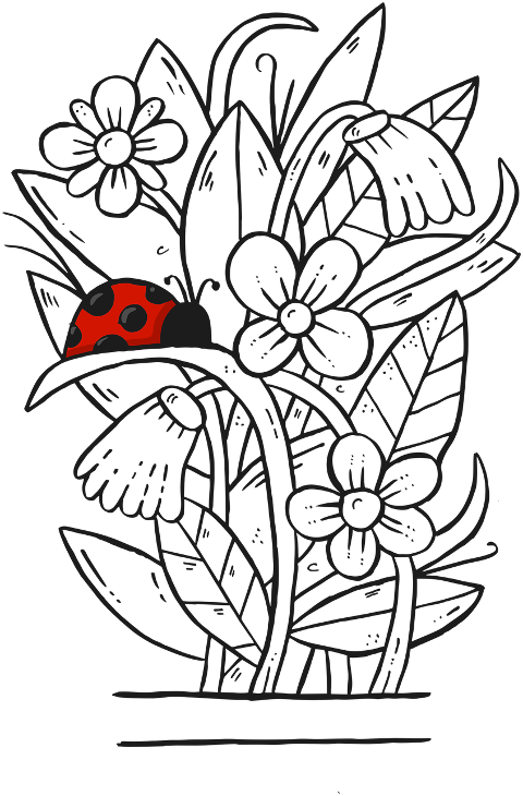 bouquet-flowers-nature-bloom-jar-9715905