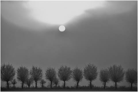 fog-autumn-nature-mood-haze-light-4509259