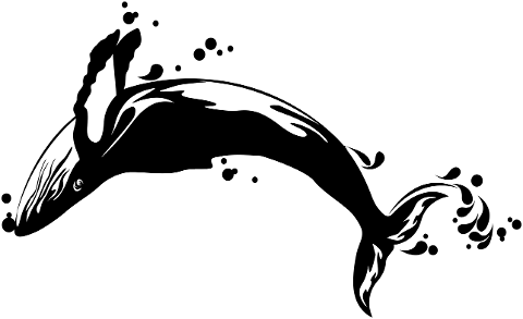 whale-animal-sea-ocean-underwater-6991770