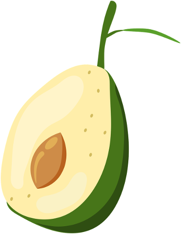 an-avocado-fruit-food-green-eating-4751157