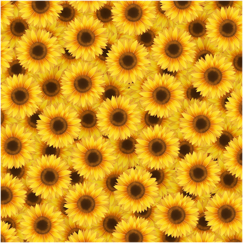 background-sunflowers-flowers-6142274