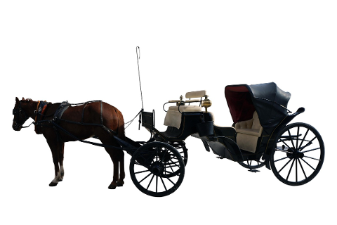 carriage-transport-horse-vehicle-5207003