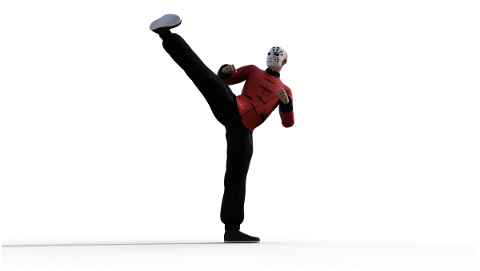 kung-fu-martial-arts-pose-fighter-4938578