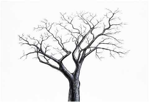 tree-winter-one-painting-drawing-4460149