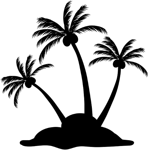 palm-tree-palms-beach-island-6171601