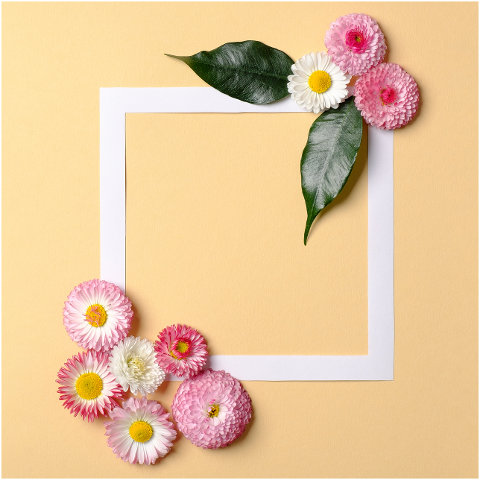 frame-border-cut-out-flowers-6547513