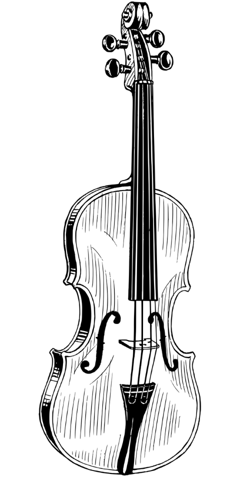 violin-musical-instrument-music-8026917