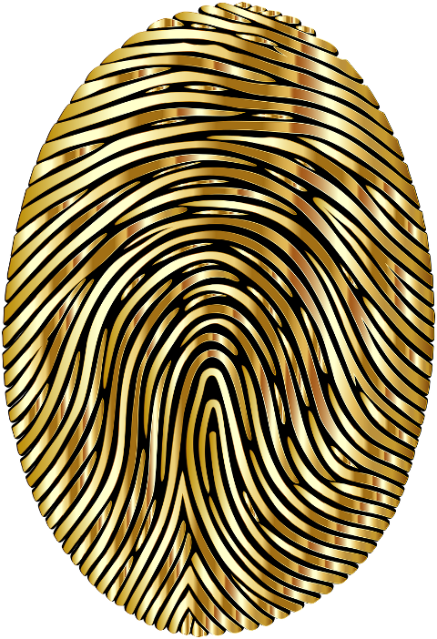 fingerprint-pattern-unique-id-9546031