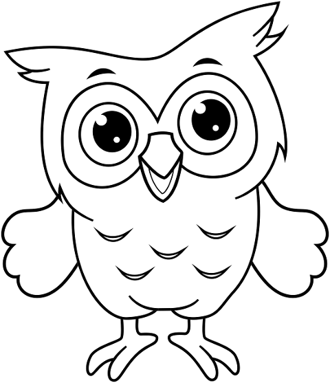 owl-bird-baby-animal-cute-kawaii-6387500