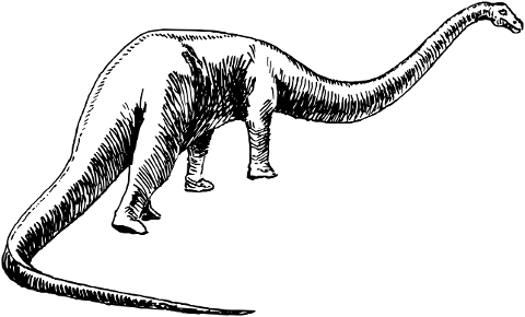 sauropod-dinosaur-animal-extinct-8043747