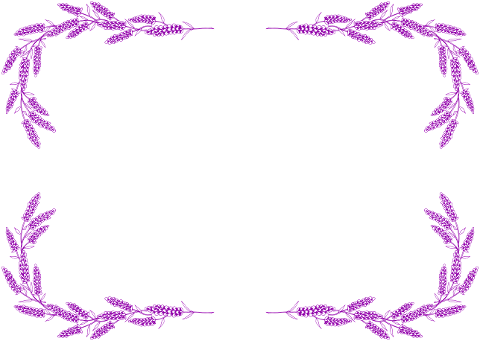 lavender-flowers-frame-border-7681780