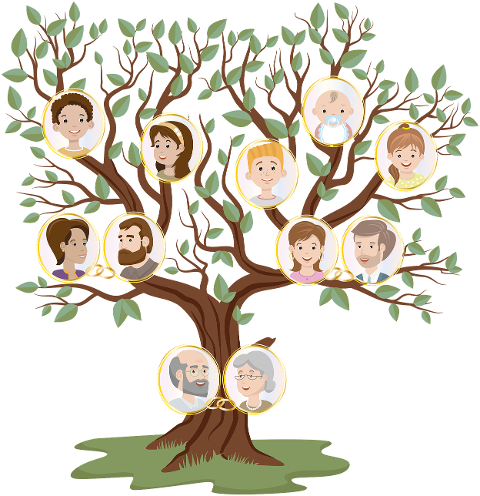 family-tree-genealogical-tree-6093805