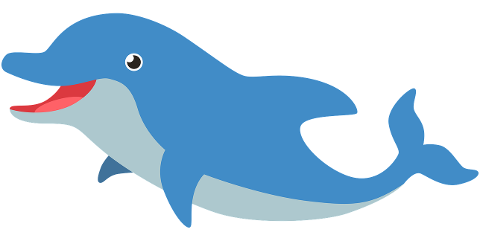 dolphin-animal-baby-mammal-cartoon-7036679