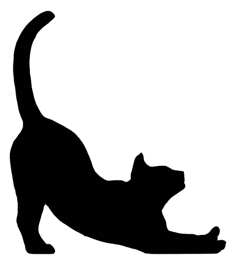cat-animal-silhouette-stretching-8000883