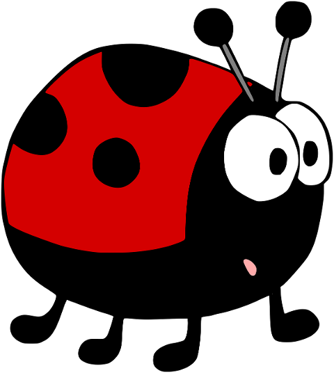 ladybug-beetle-insect-animal-6184283