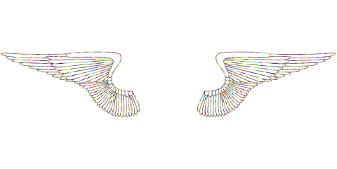 wings-feathers-flying-bird-angel-8103090