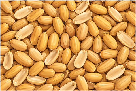 peanuts-peanut-nuts-snack-food-10135756