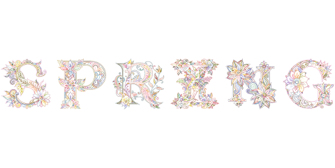 spring-seasons-typography-flowers-9853822