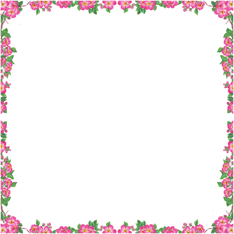 cherry-blossom-flowers-frame-border-6873298