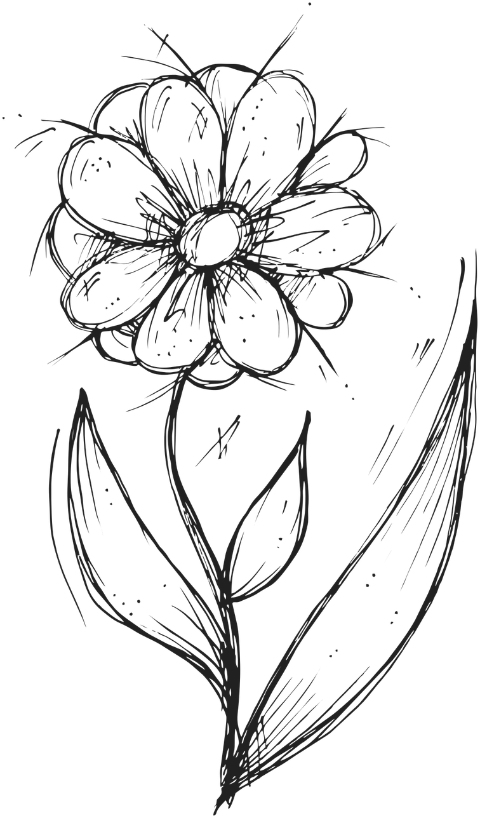 flower-meadow-drawing-bloom-flora-7293203