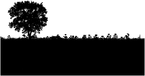 trees-forest-silhouette-landscape-7120222