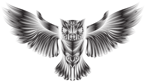 owl-bird-geometric-animal-wings-5986451