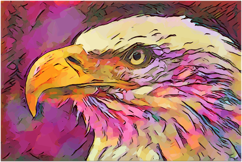 bald-eagle-bird-artwork-eagle-7141836
