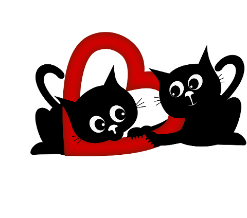 cats-valentines-day-kittens-pets-9299273