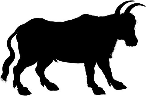 ox-animal-silhouette-bullock-6028758