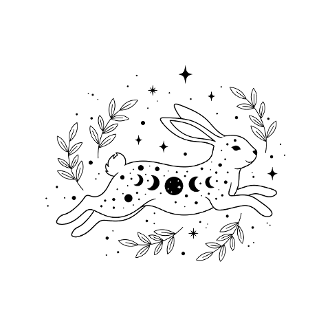 hare-rabbit-moon-phases-stars-9792552
