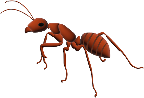 insect-ant-entomology-species-7129913