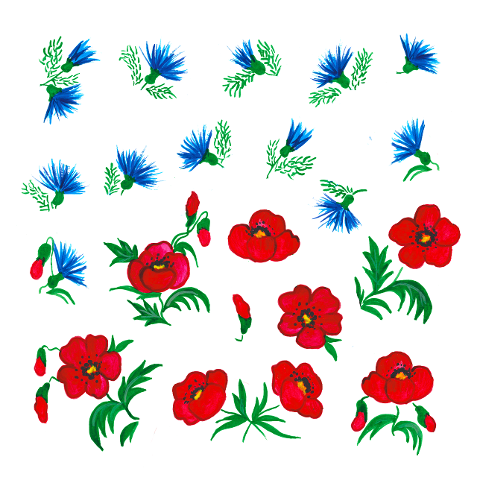red-weed-poppy-poppyhead-cornflower-6277943