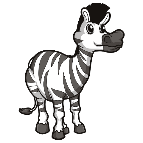 zebra-stripes-black-and-white-6029606