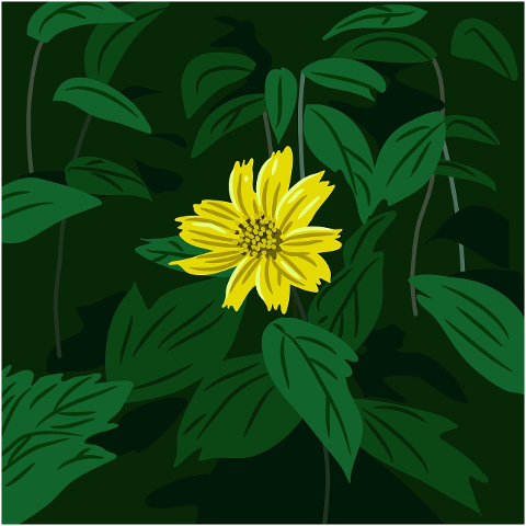 flower-nature-bloom-plant-blossom-9681117