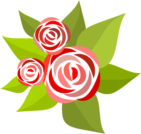 roses-flowery-floral-petals-green-9526282