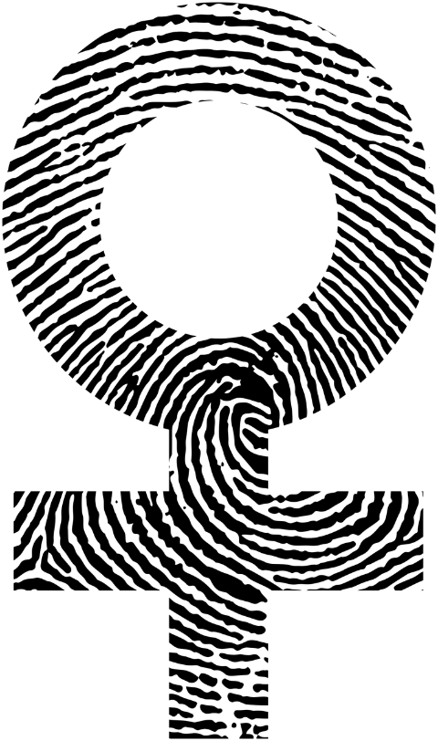 fingerprint-gender-female-pattern-7900091