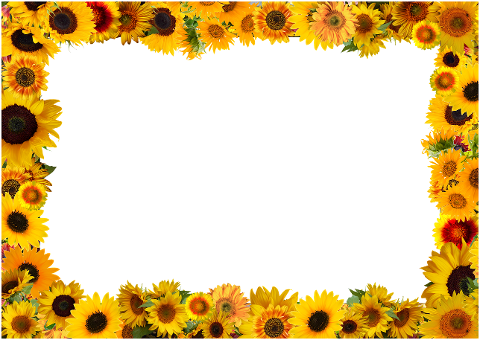 sunflower-flowers-frame-decorative-6311494