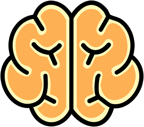 brain-neurons-mind-thinking-9880884