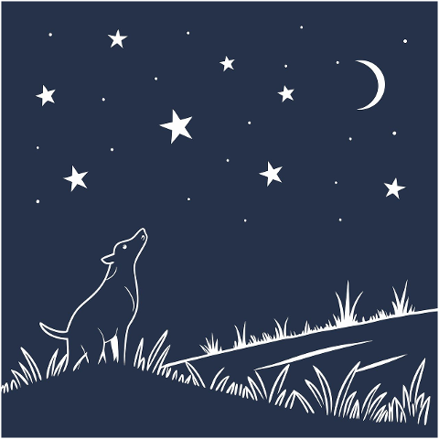 night-dog-stars-nature-dark-9183528