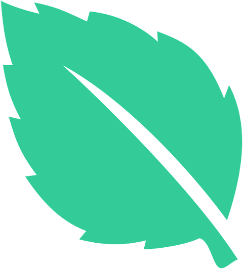 green-leaf-plant-nature-spring-9850200