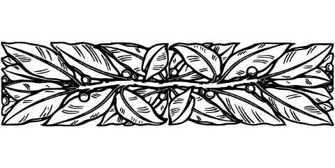 divider-leaves-line-art-flourish-7443780