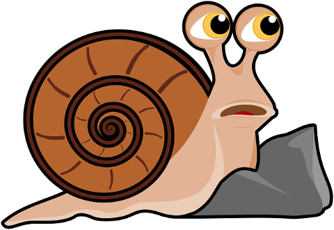 snail-mollusk-shell-nature-cartoon-10212783
