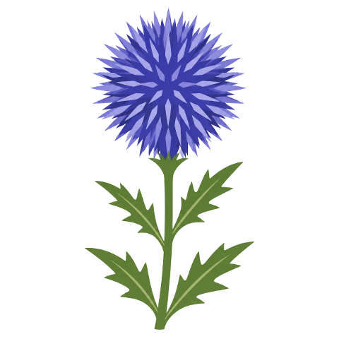 blue-flower-thistle-plant-nature-10365939
