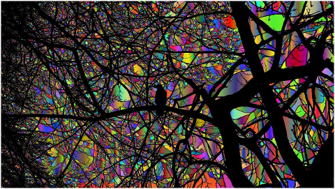 forest-trees-background-wallpaper-9604717