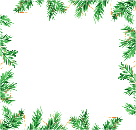needles-conifer-tree-christmas-6840069