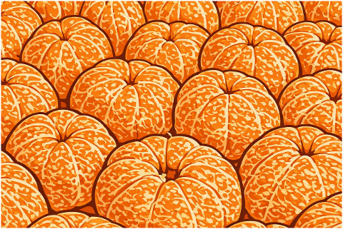 orange-oranges-citrus-mandarin-10144029